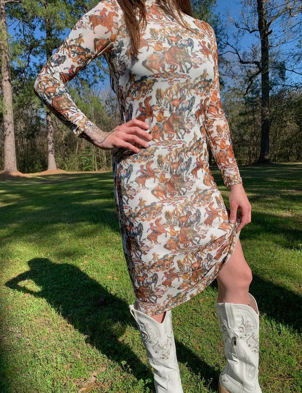 Buckaroo Mesh Dress