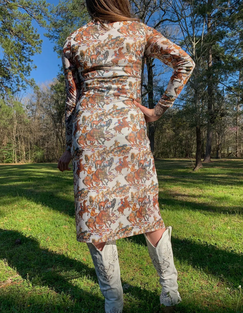Buckaroo Mesh Dress