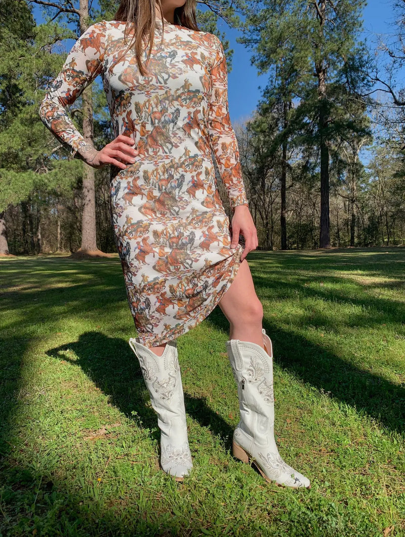 Buckaroo Mesh Dress